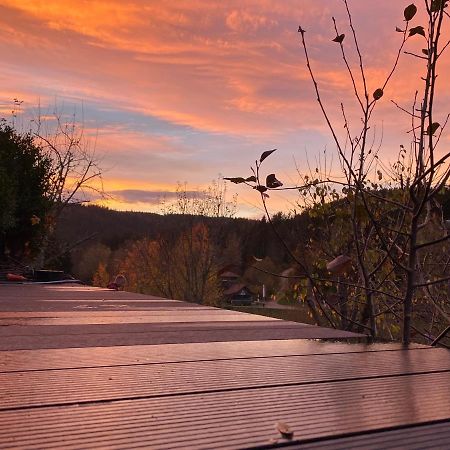 Haus Adler - Komplettes Ferienhaus Am Badesee Erzgrube ภายนอก รูปภาพ