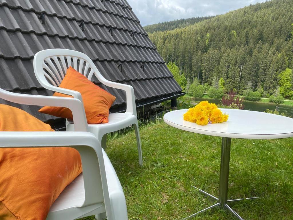 Haus Adler - Komplettes Ferienhaus Am Badesee Erzgrube ภายนอก รูปภาพ