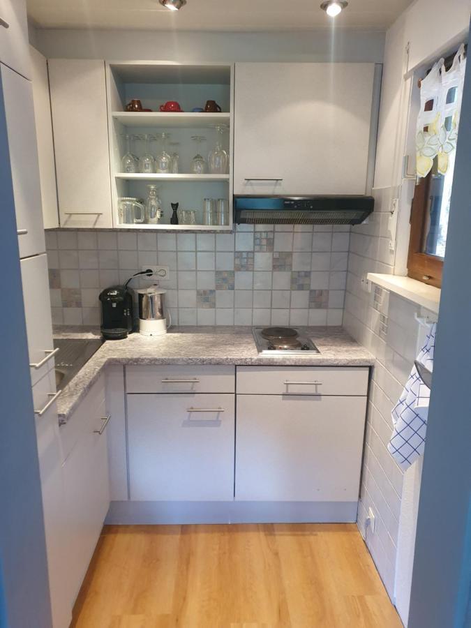 Haus Adler - Komplettes Ferienhaus Am Badesee Erzgrube ภายนอก รูปภาพ