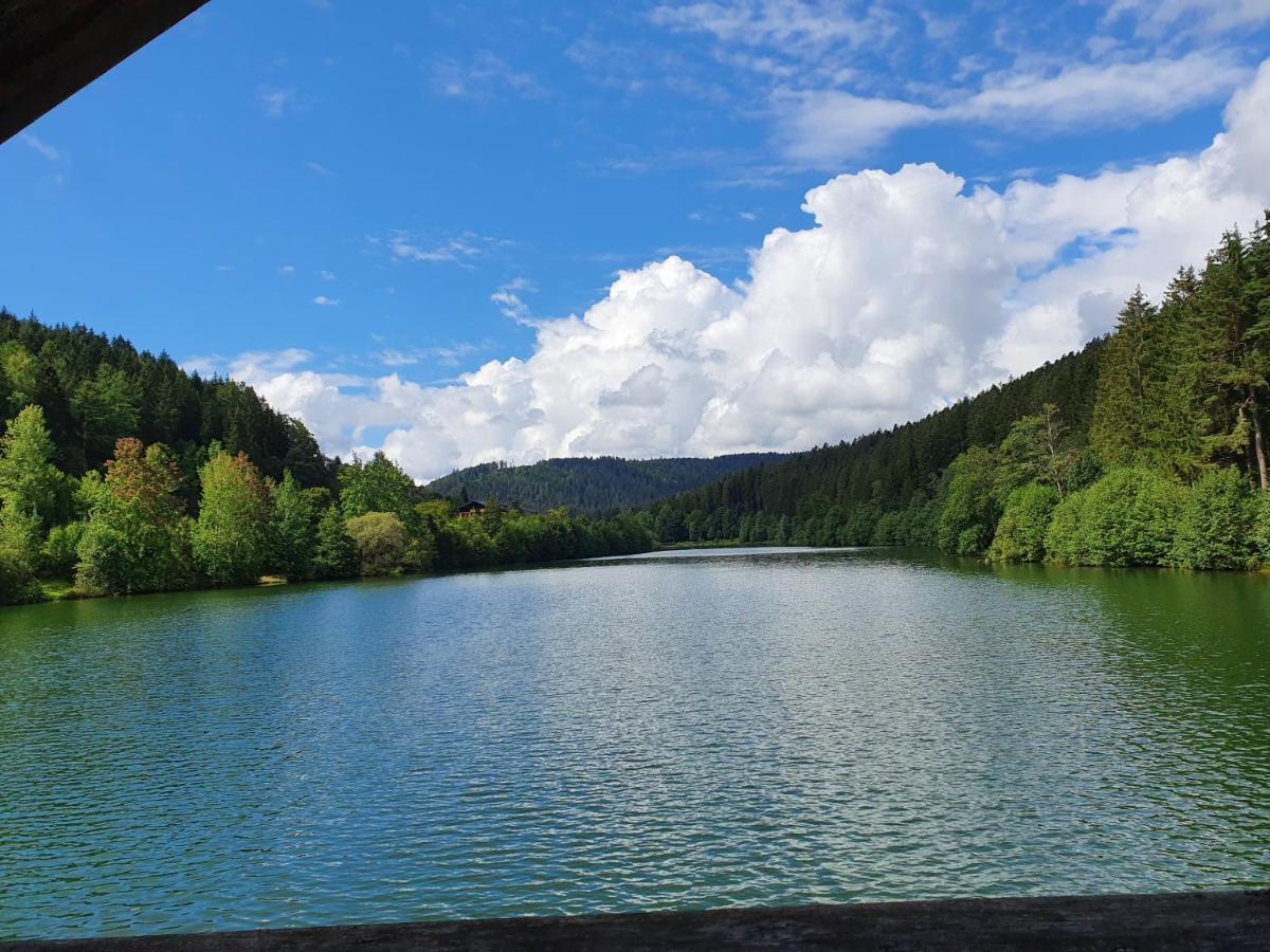 Haus Adler - Komplettes Ferienhaus Am Badesee Erzgrube ภายนอก รูปภาพ
